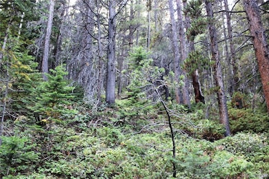 00 Gamble Gulch Rd unit 337,16773, Black Hawk, CO 80422 - photo 7