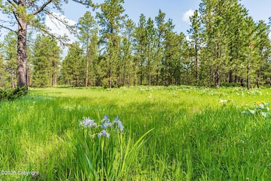 Tbd Quarry Rd, Four Corners, WY 82715 - photo 4