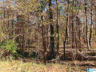 000 Springhollow Dr, Ashville, AL 35953 - photo 6