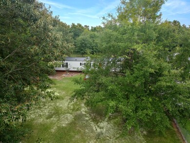 Some nice shade trees!