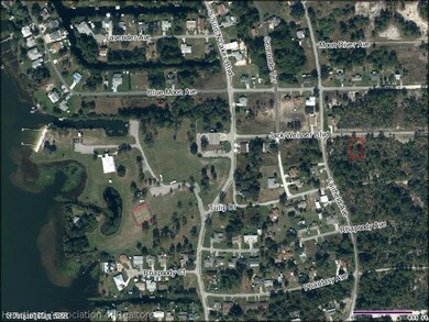 239 Jack Weisser Blvd, Lake Placid, FL 33852 - photo 2