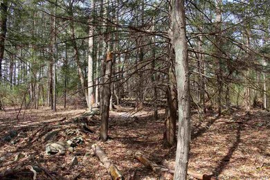 Parcel 1 Ridgeview Rd, Rochester, NY 12446 - photo 6