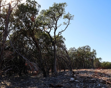 3101 - 1 Longhorn Trail, Wimberley, TX 78676 - photo 4