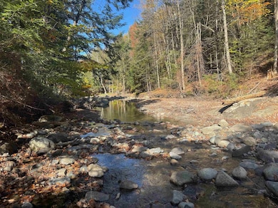 220 Peaceful Way, Plainfield, VT 05667 - photo 2