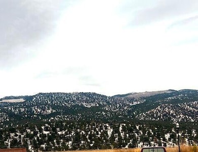 377 1375 W, Parowan, UT 84761 - photo 5