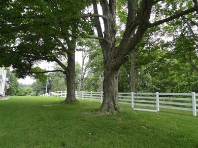tree swing in big mature trees