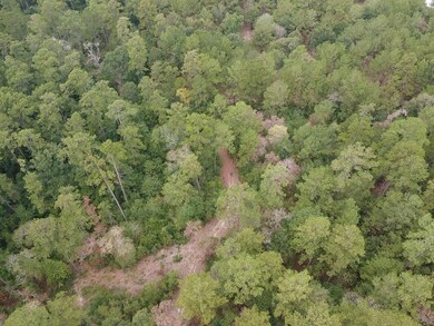 Aerial view of property's location with a heavily wooded area