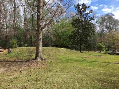 27 Bluebird Ln, Crawfordville, FL 32327 - photo 6