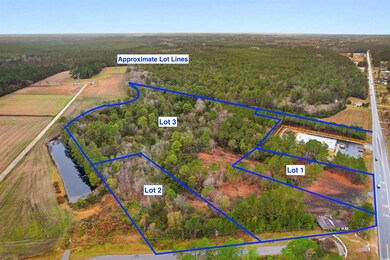TBD Lot 1 Red Bluff Rd, Loris, SC 29569 - photo 6