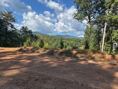 Lot 7 Snow Hill Rd, Franklin, NC 28734 - photo 3