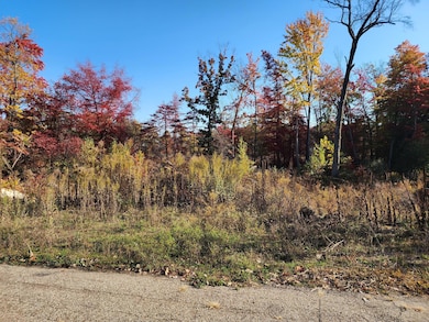 9421 Sassafras Trail unit 76, Portage, MI 49002 - photo 5