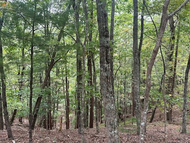 Lot A28 Laurel Ridge Dr, Ellijay, GA 30536 - photo 6