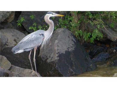 Nature preserve. Many native birds.