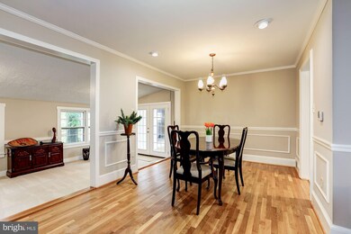 4513 Morgal St, Rockville, MD 20853 - photo 6