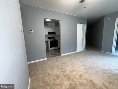 3138 Brinkley Rd unit 8303, Temple Hills, MD 20748 - photo 6