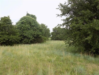 450 Big Salty Dr, Springtown, TX 76082 - photo 4