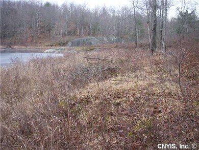 View Pond view