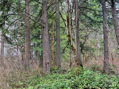 200th 256th St E, Graham, WA 98338 - photo 7