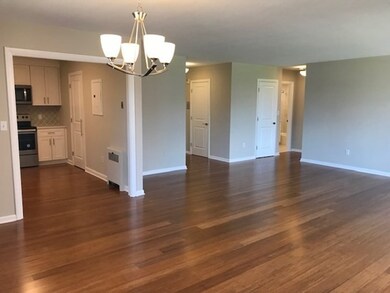 Hammond Park Condominiums unit 108, Chestnut Hill, MA 02467 - photo 2