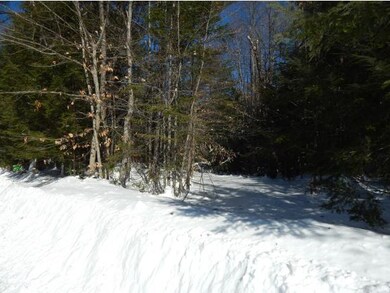Old roadbed