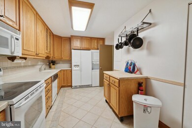 203 Yoakum Pkwy unit 507, Alexandria, VA 22304 - photo 6