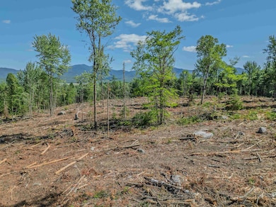 000 Ridge Rd, Bethlehem, NH 03574 - photo 5