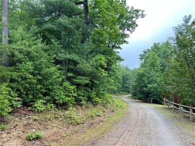 Lot 61 Deer Run, Purlear, NC 28665 - photo 3