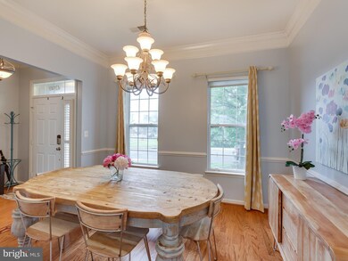 42840 Cedar Hedge St, Chantilly, VA 20152 - photo 4