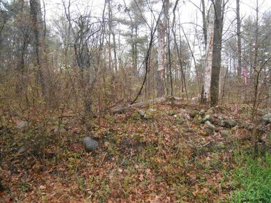 0 Heisler Rd unit 201608585, Milton, NY 12863 - photo 2