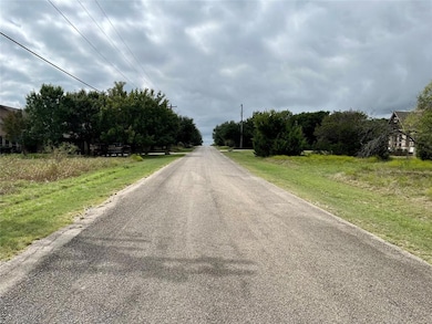 1119 Millcreek Tr, Whitney, TX 76692 - photo 4