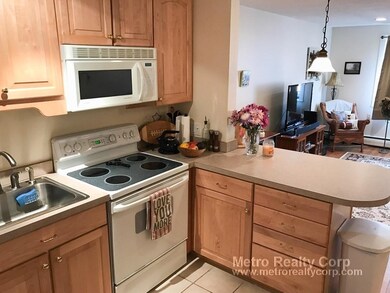 197 Kent St unit 44, Brookline, MA 02446 - photo 6