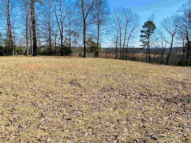 Lots 6,7,8 River Bend Ridge, Calico Rock, AR 72519 - photo 2