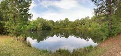 4402 Thomson Hwy, Lincolnton, GA 30817 - photo 7