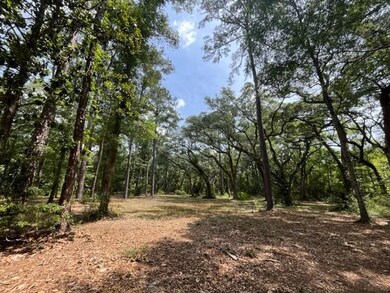 00000 Louisville St, Lacombe, LA 70445 - photo 2