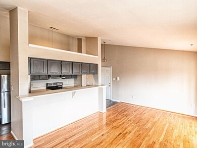 13103 Briarcliff Terrace unit 10-1009, Germantown, MD 20874 - photo 5