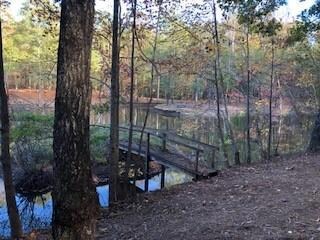 View of yard featuring a forest view