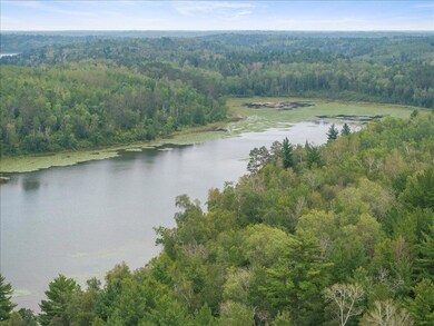 TBD 290th St, Two Inlets Township, MN 56470 - photo 4