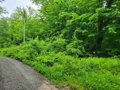 0 Butter Hill Rd unit 4913710, Chatham, NH 03813 - photo 2