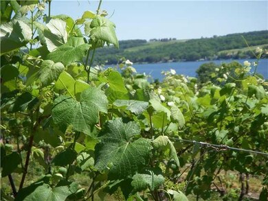 Land your working Keuka Lake vineyards !