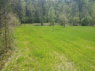 1920 Loco Church Rd, Lincolnton, GA 30817 - photo 2