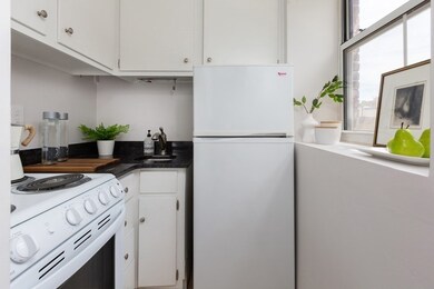 4 Arlington St unit 9, Cambridge, MA 02140 - photo 5