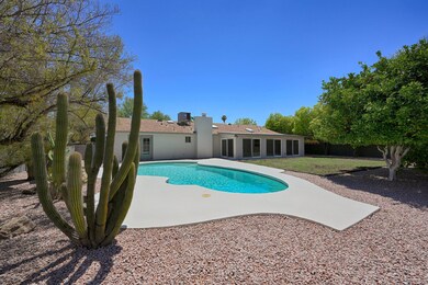 Backyard Pool 2_compress21-scaled