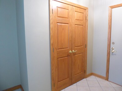 Entry doors showing wood