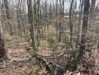 0 Mark Twain Cir unit 1511690, Chattanooga, TN 37406 - photo 6