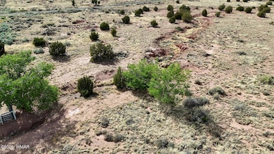 4.02 Dewitt St, Snowflake, AZ 85937 - photo 5