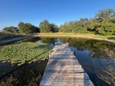 9559 County Road 133, Brownwood, TX 76801 - photo 3