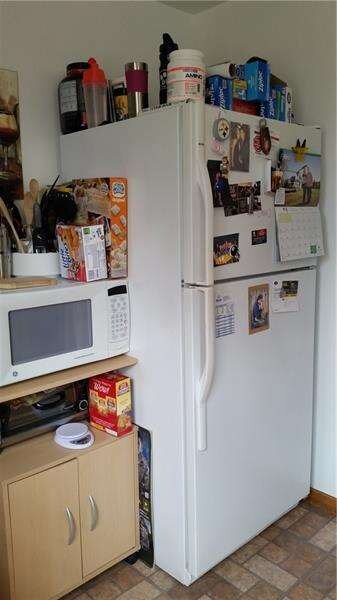 Full Size Refrigerator will stay