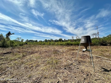 0 Highway 35 unit 4126739, Walnut Grove, MS 39189 - photo 5