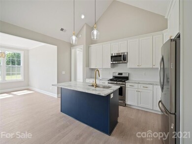 225 Lone Pine Rd unit 8, Statesville, NC 28625 - photo 5