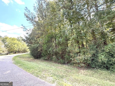 0 Fortson Dr, Elberton, GA 30635 - photo 3